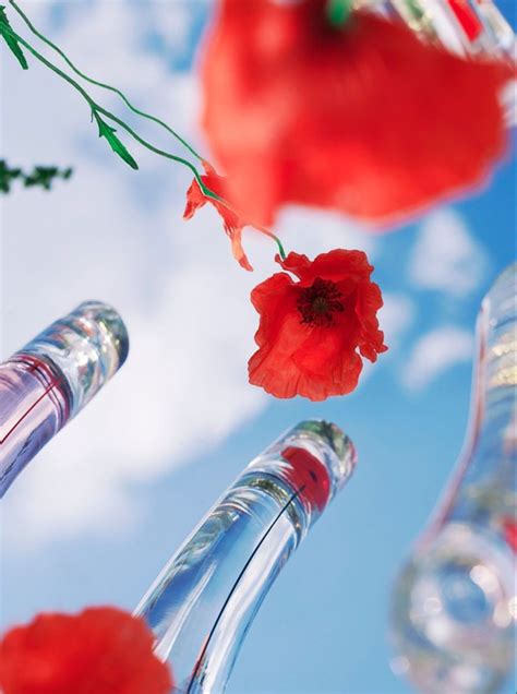 The Ultimate Guide To The Flower by Kenzo Perfumes